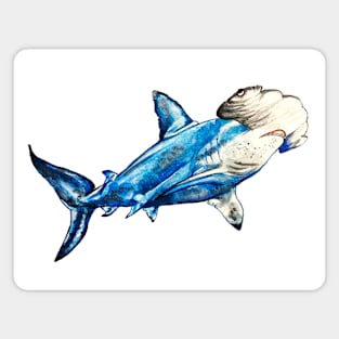 Watercolor Hammerhead Shark Magnet